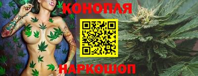 мяу мяу мука Новокубанск