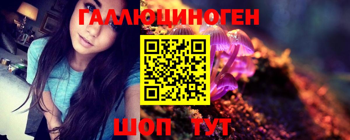 Псилоцибиновые грибы мухоморы  купить наркотики сайты  Сургут  Псилоцибиновые грибы мицелий  Вход с VPN 