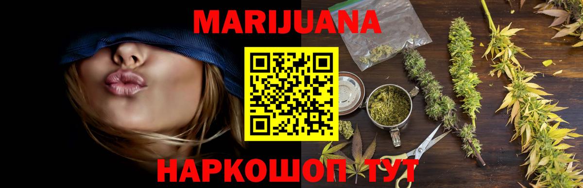 Канабис сатива Сургут